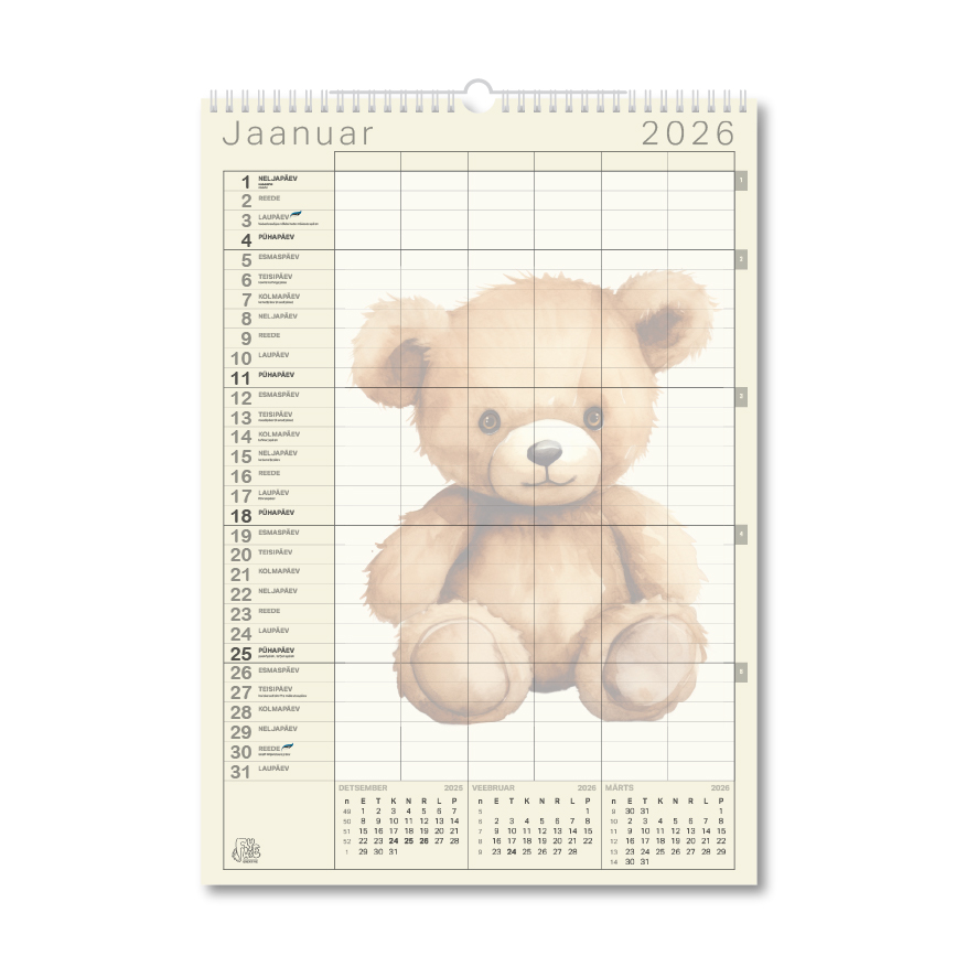 FAYE PEREKAVA TEDDY + visioonitahvel 2026 - Image 2